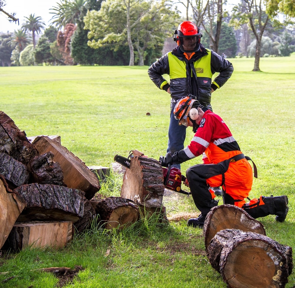 Chainsaw Operation and Safety Training Online - Safetyhub